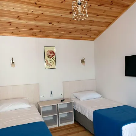 Hotel Metins *