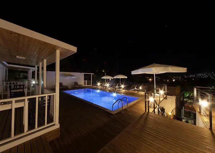 Hotel Metins *